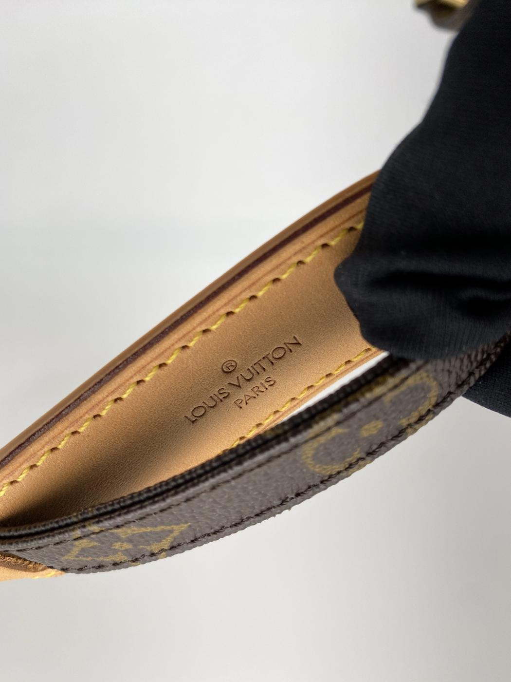 路易威登 Monogram Amazon 单肩包/斜挎包 M45236，参考编号：8841