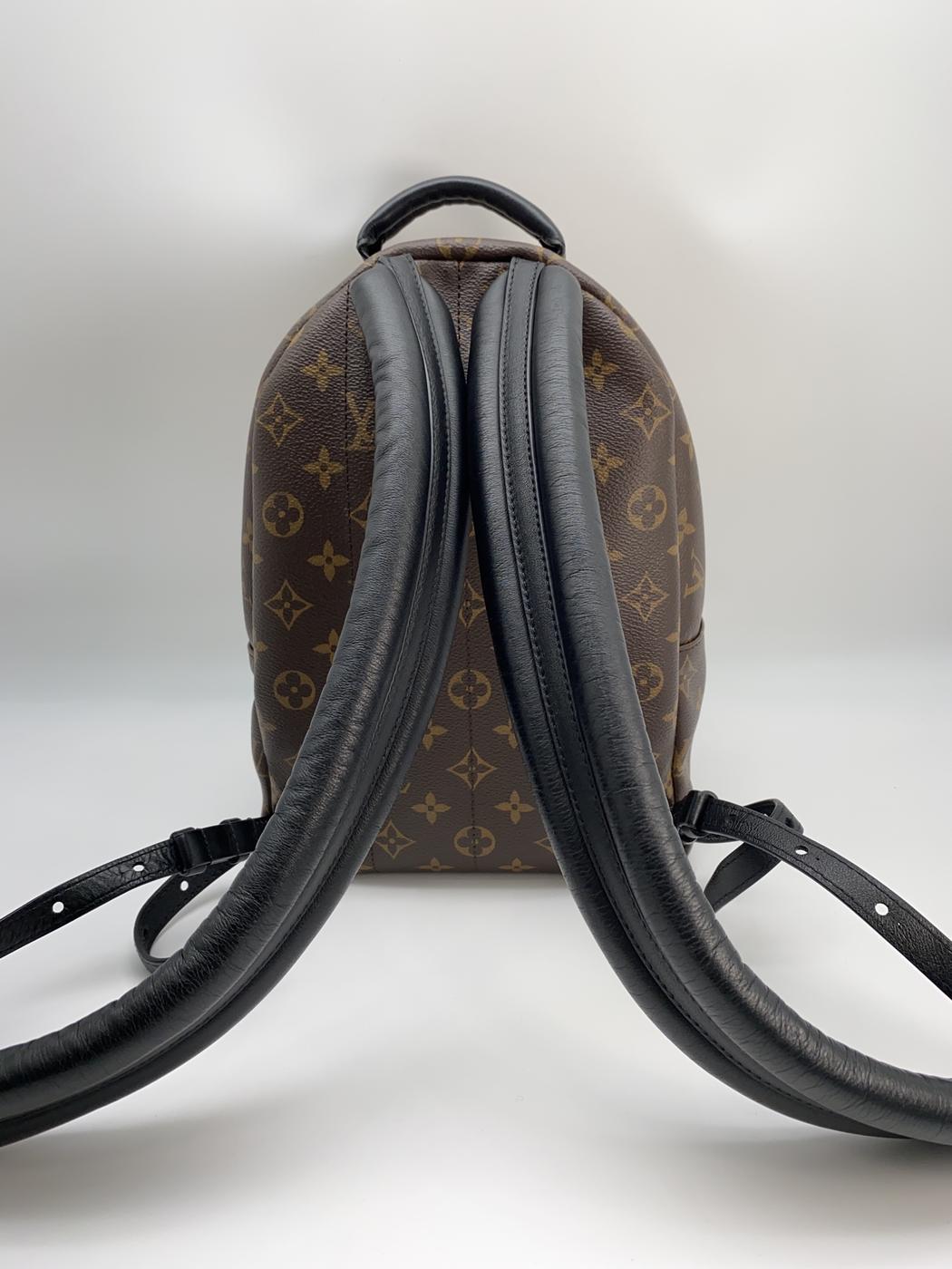 路易威登 Monogram Reverse Palm Springs 双肩包 PM 皮革 M43116 参考编号：8893