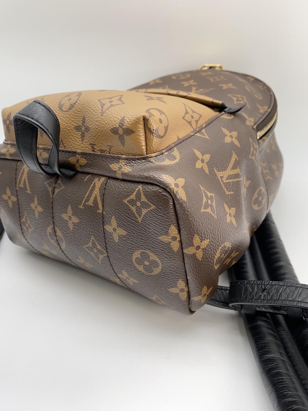 路易威登 Monogram Reverse Palm Springs 双肩包 PM 皮革 M43116 参考编号：8893