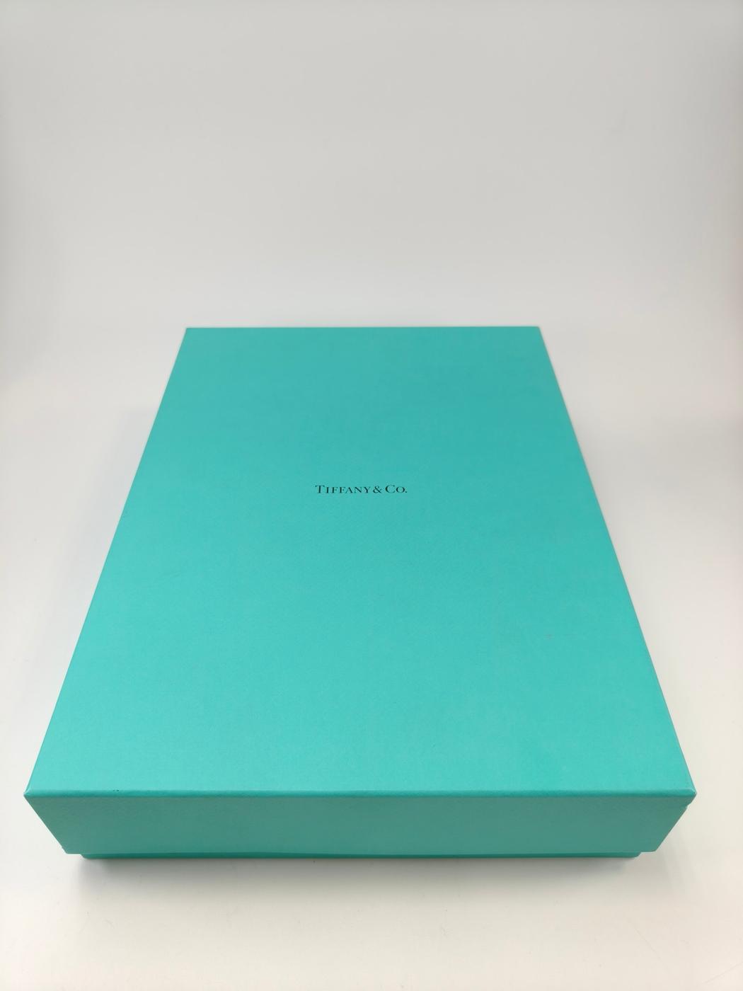 TIFFANY 蒂芙尼 HardWear 渐层链环项链 银色 商品编号：11000