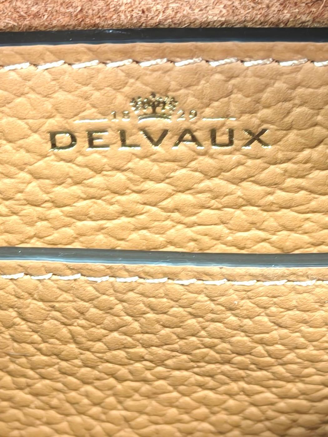 DELVAUX デルヴォー クールボックスナノ ストラップ付 ハンドバッグ ブラウン 管理番号：11635
